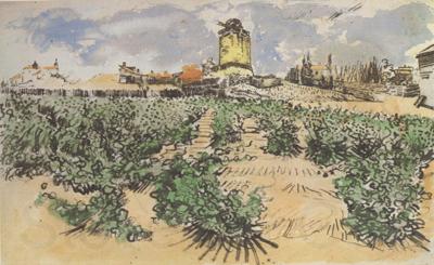 Vincent Van Gogh The Mill of Alphonse Daudet at Fontevieille (nn04) Spain oil painting art